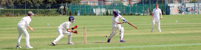 Top 17 Best Online Cricket ID Providers You Should Know in Gurgaon